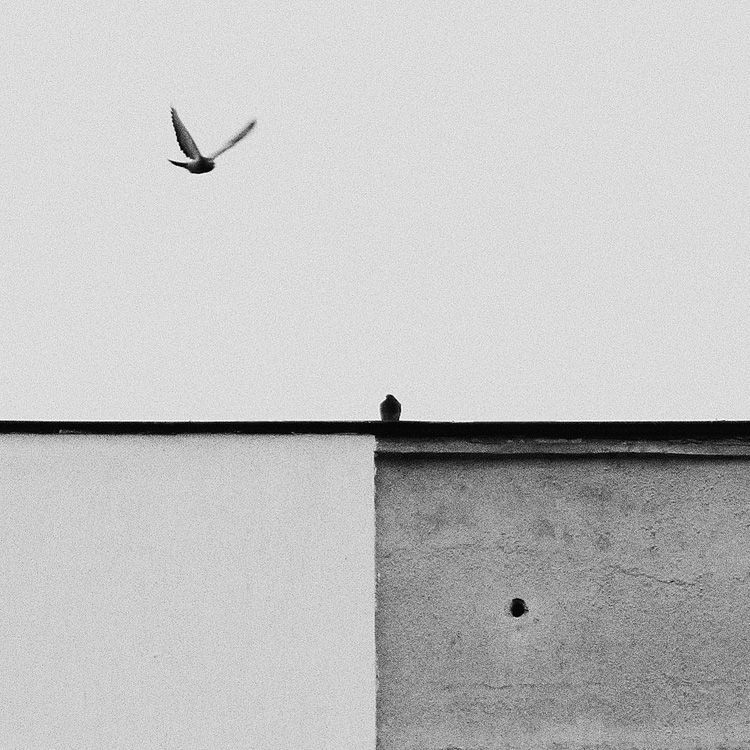 Photo 253866