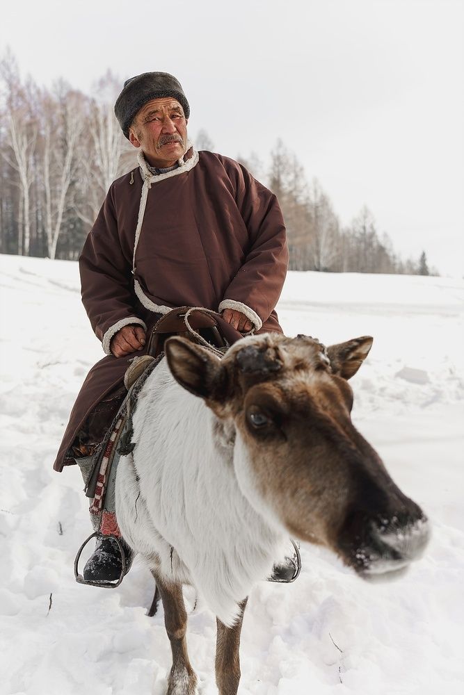 Тоджинский оленевод