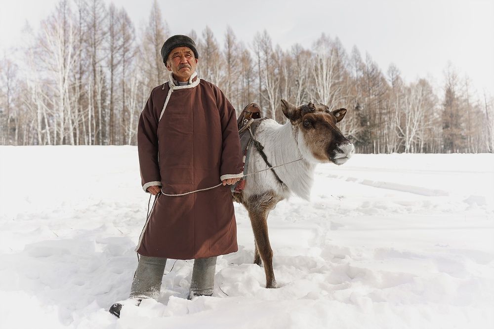 Тоджинский оленевод