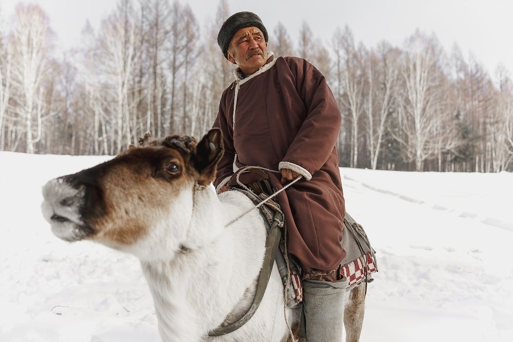 Тоджинский оленевод