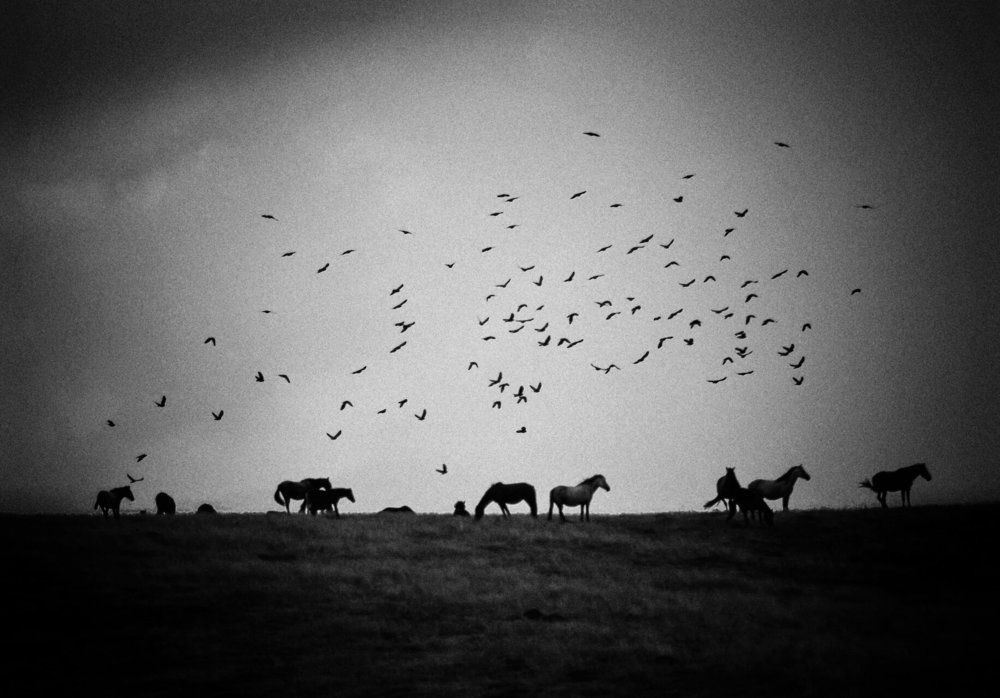 Photo 2530437
