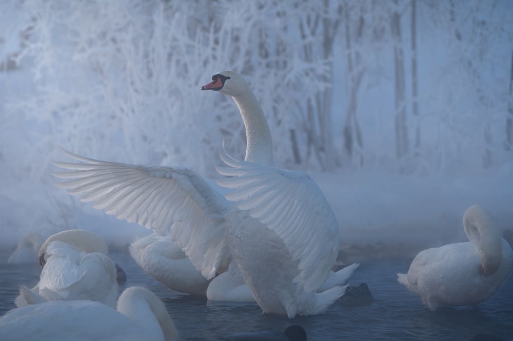 Перезимуем