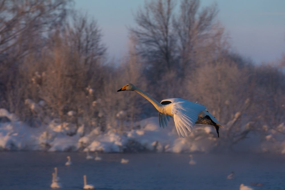 Photo 2532375