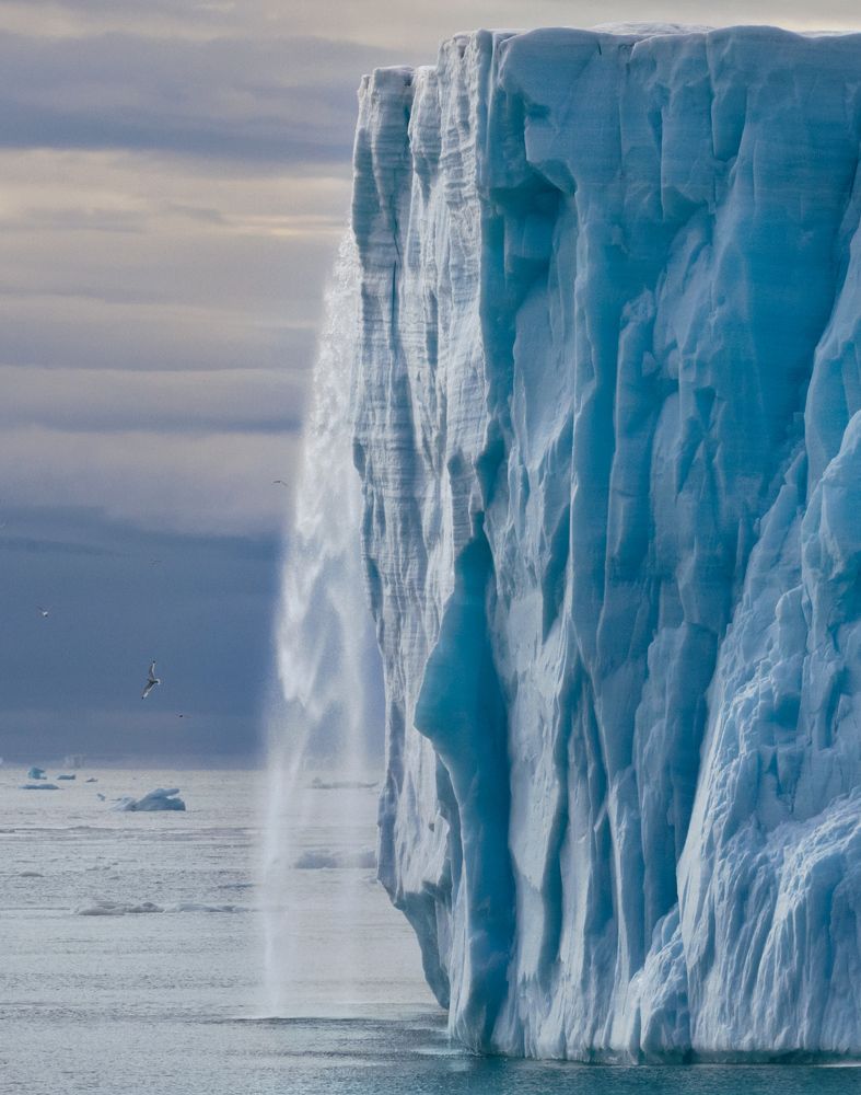 Arctic Summer