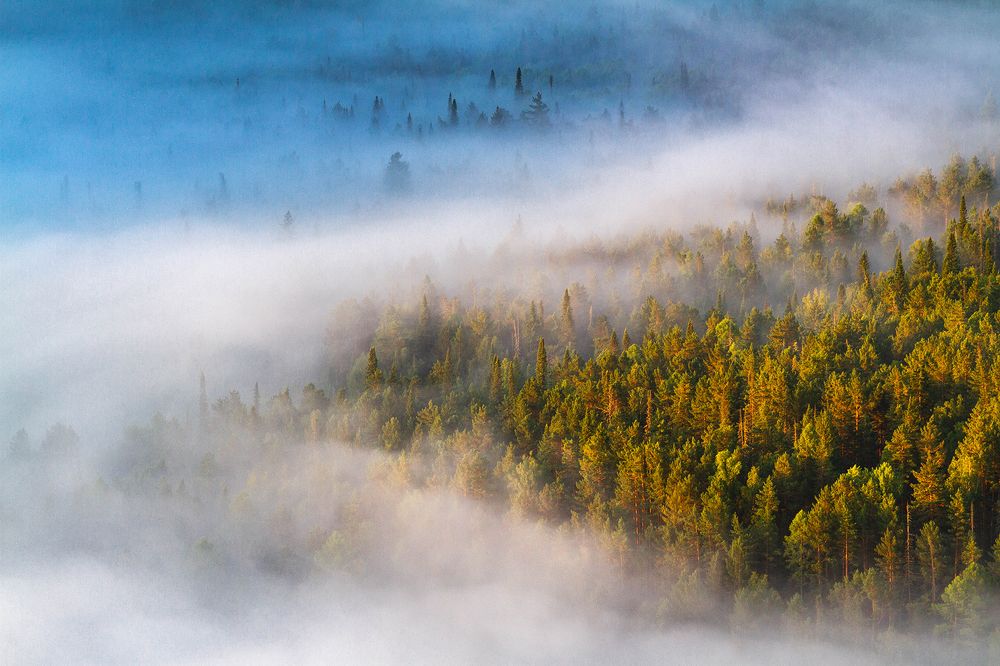 Сибирские мотивы