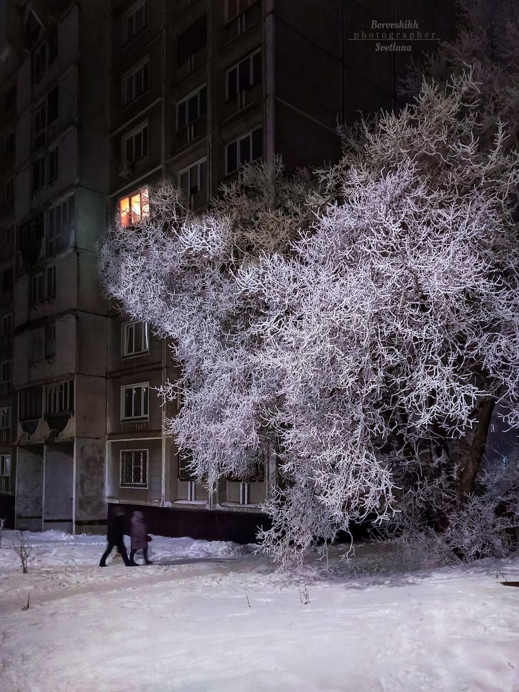Волшебный свет