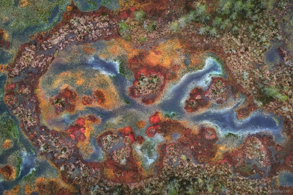 Intimate landscape