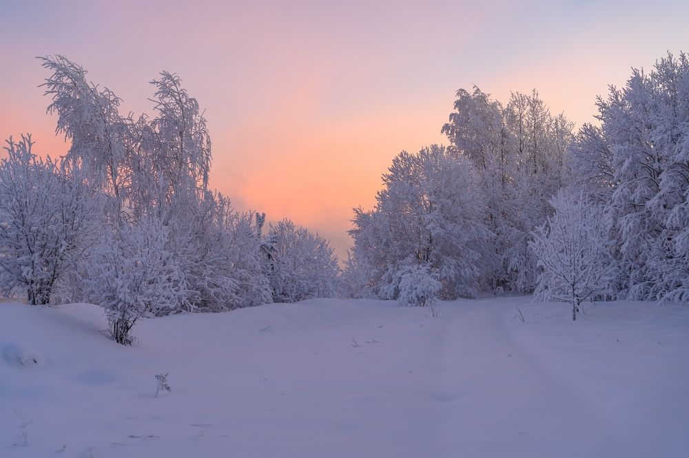 На заре