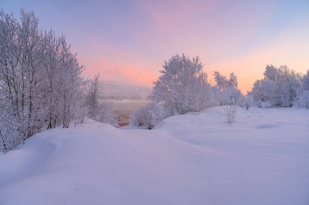 На заре