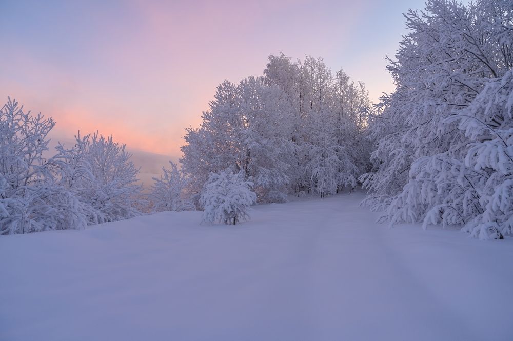 На заре