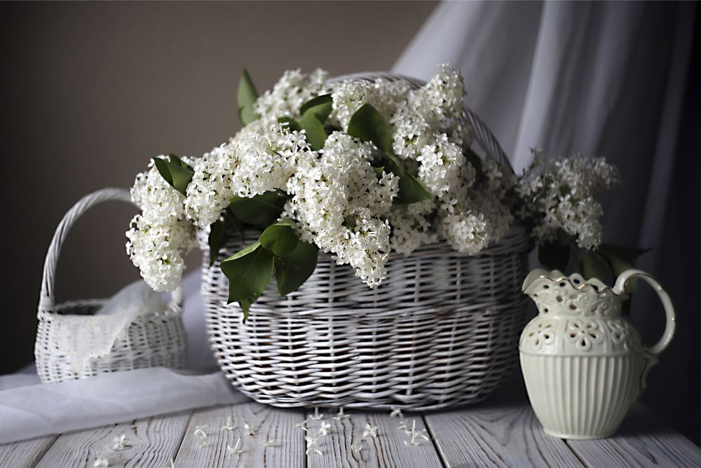 Photo 2533789