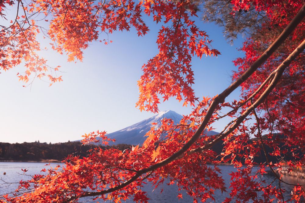 Red Japan