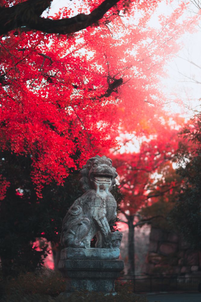 Red Japan