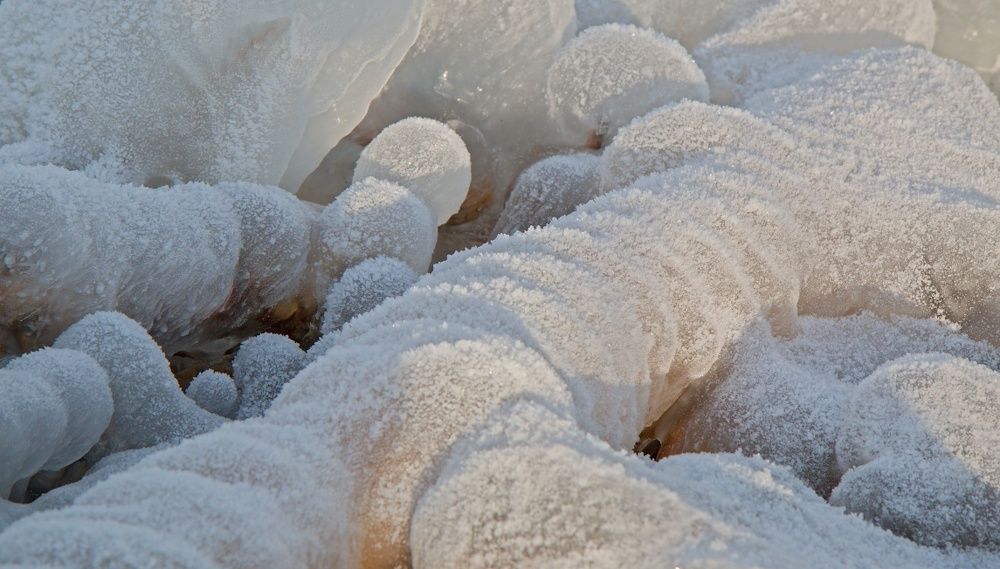 Ice Kingdom