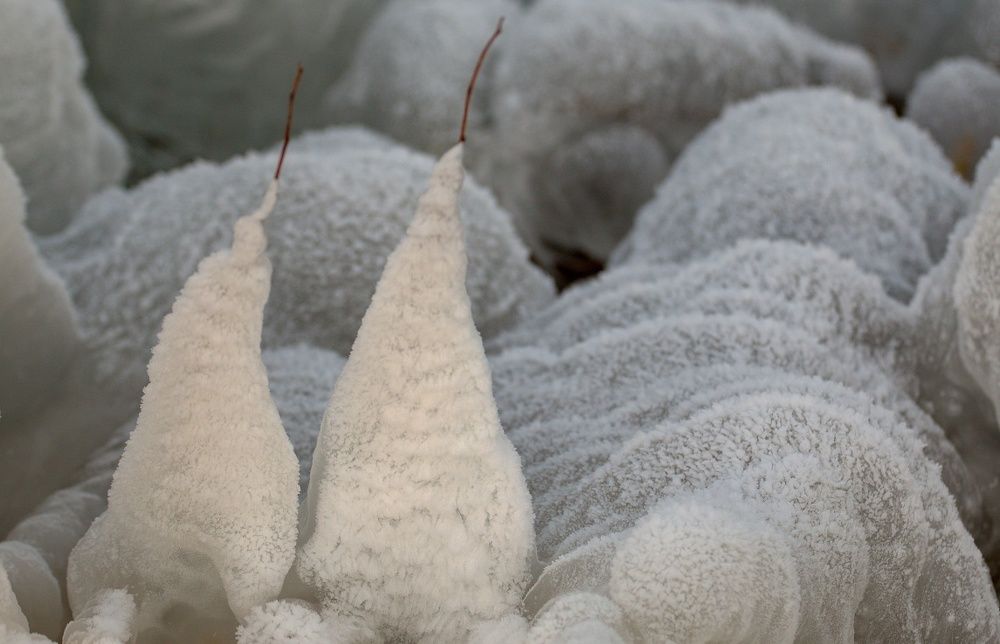 Ice Kingdom