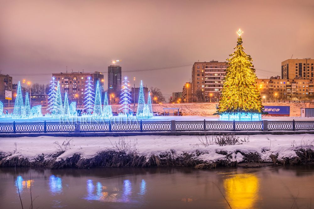 Мишки в Ростокино, Москва, Новый год