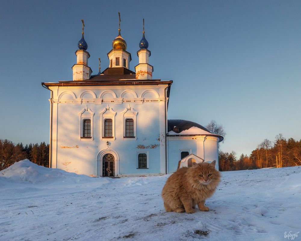 Свято-Введенский Макариевский Жабынский мужской монастырь, Тульская область
