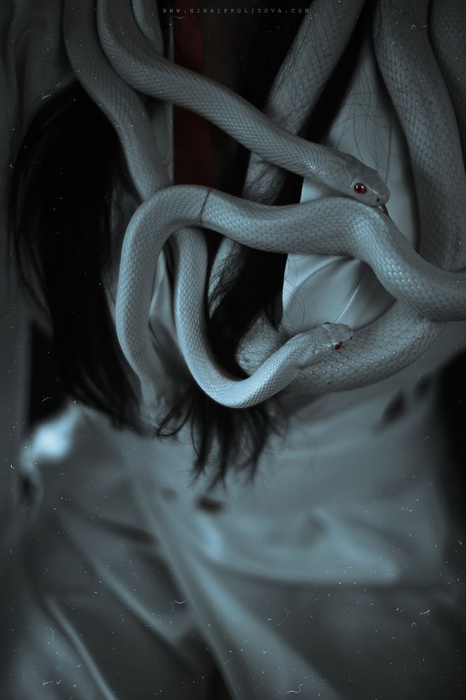 Б е л ы е   з  м е и 