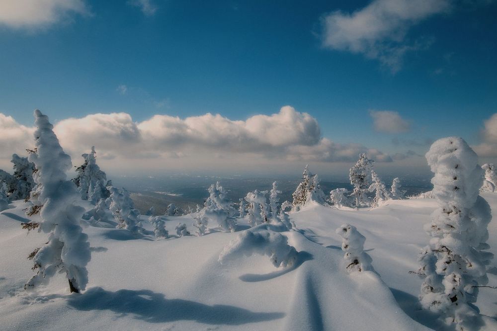 Новым днём впечатляемся..!