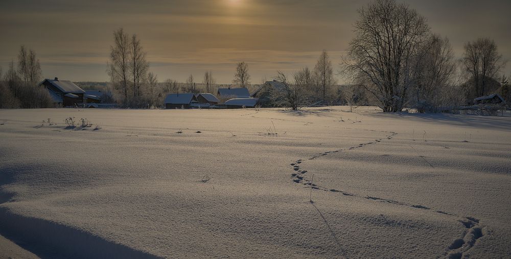 Зимние зарисовки в солнечный день.