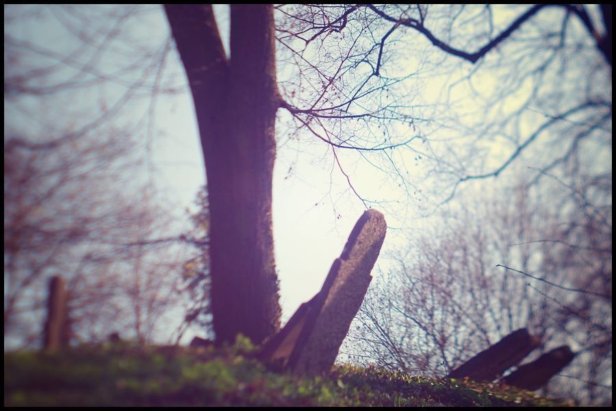 lensbaby