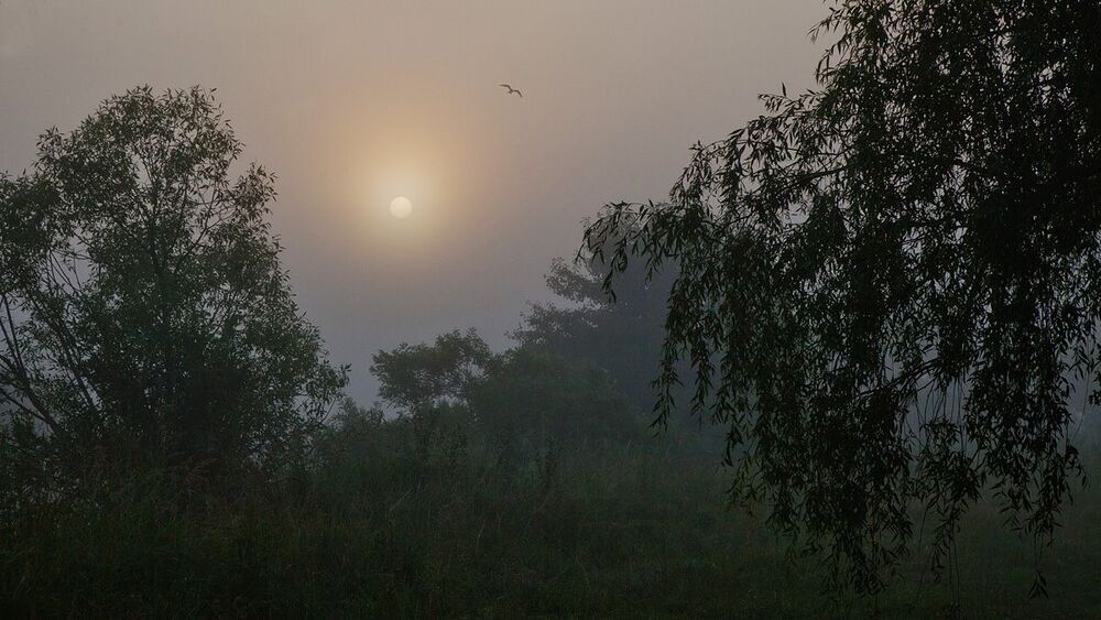 Печенежский туман