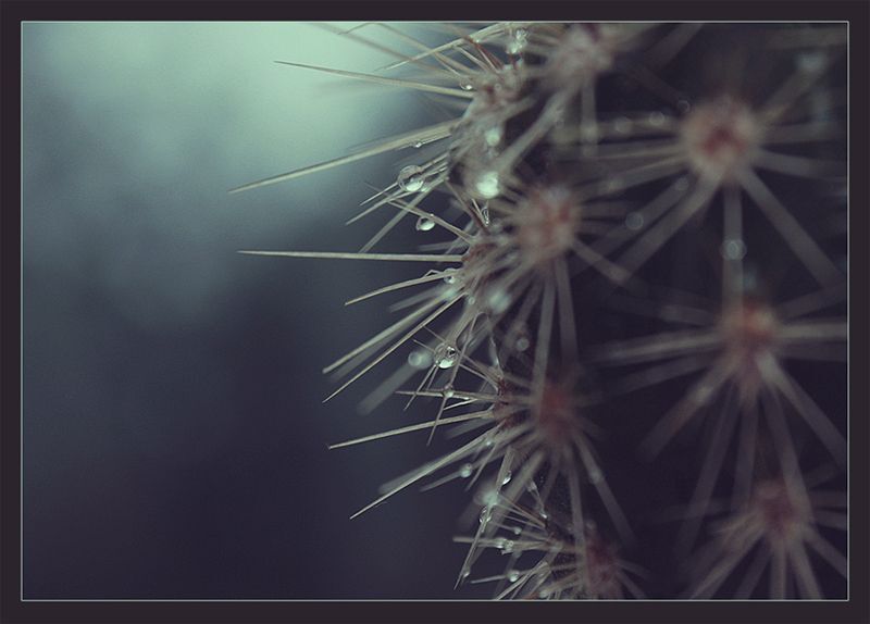 Photo 254926