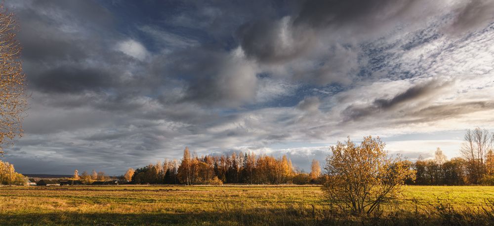 Прощальные краски осени...