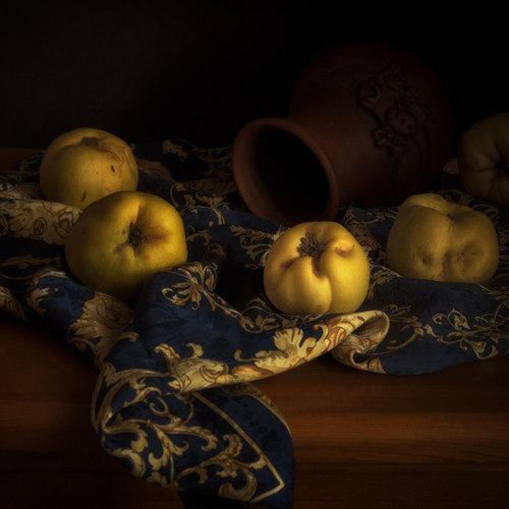 Photo 2540502