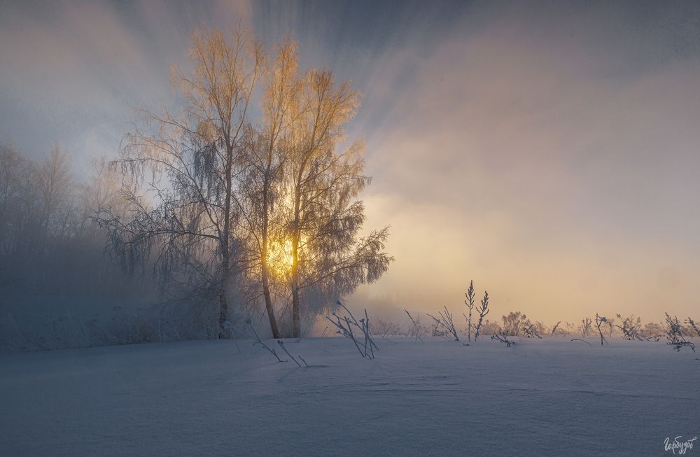 река Деготня, Тульская область.