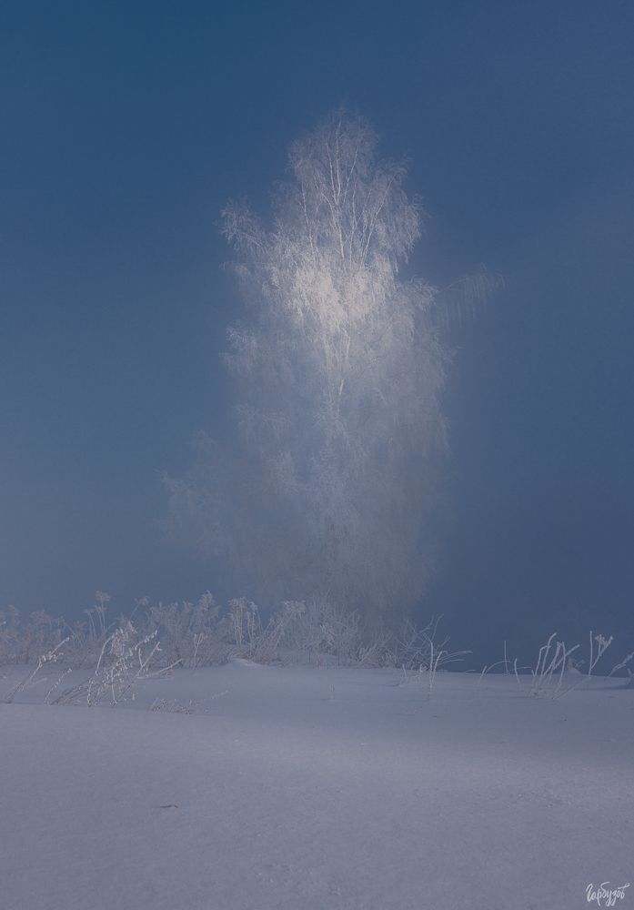 река Деготня, Тульская область.
