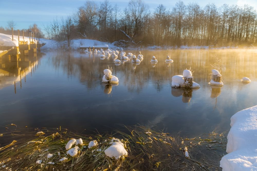 У теплой воды