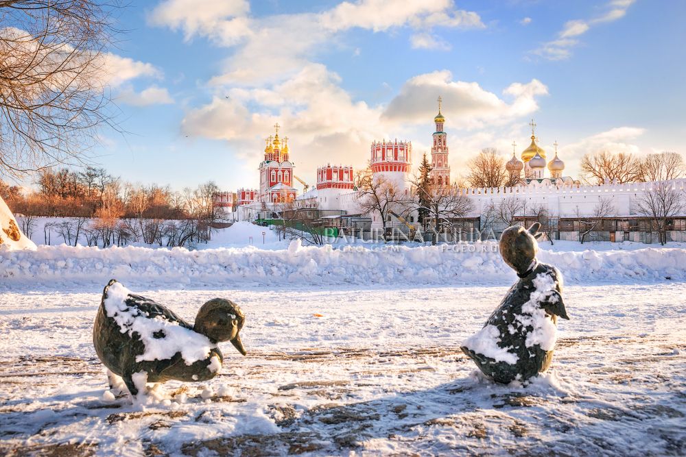 Новодевичий монастырь и уточки