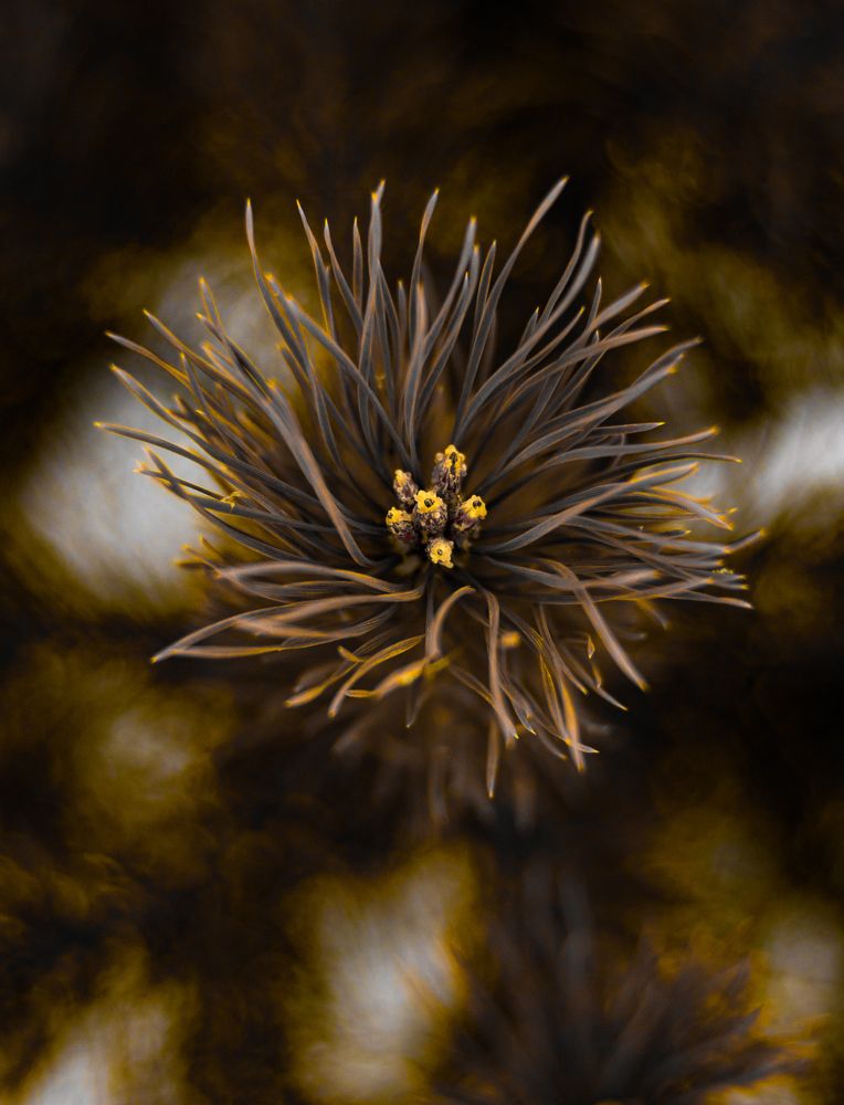 Photo 2547061