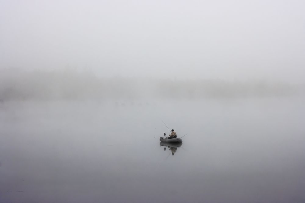 Photo 2547062