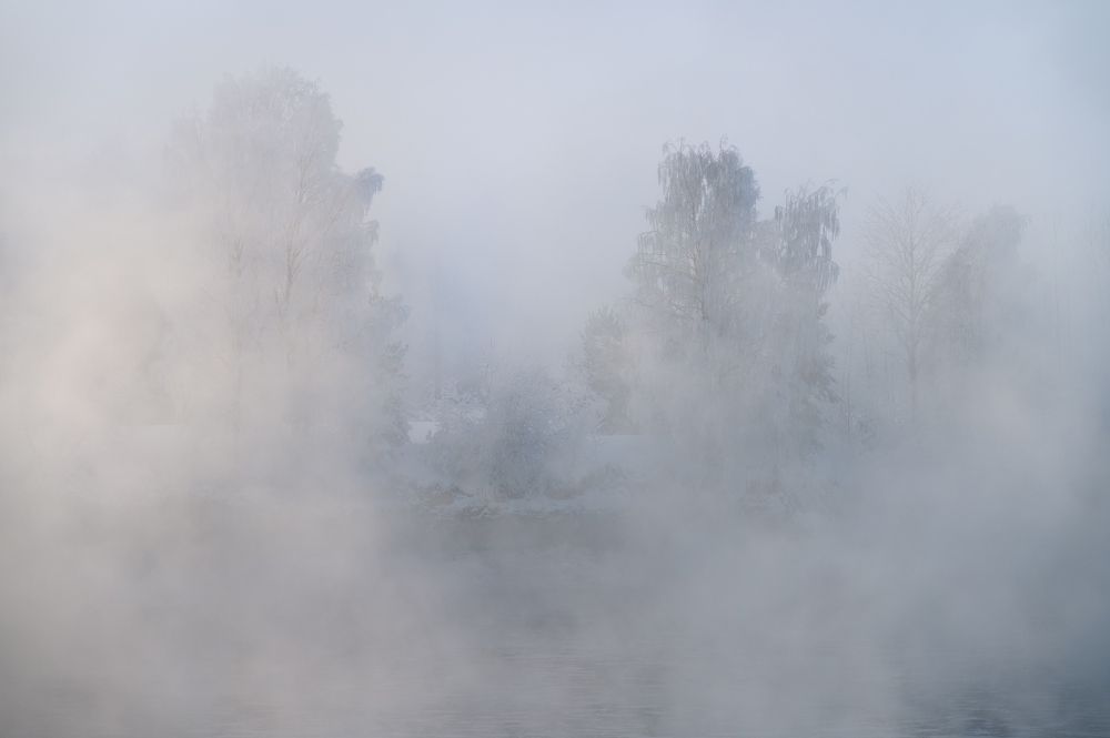Берег в тумане