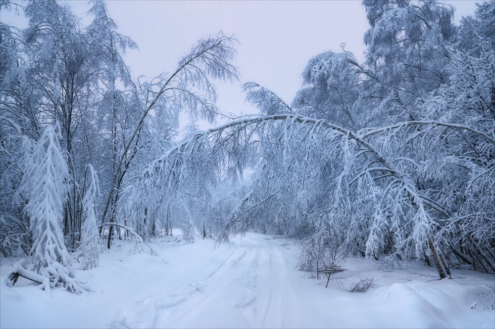 Снежными дорогами