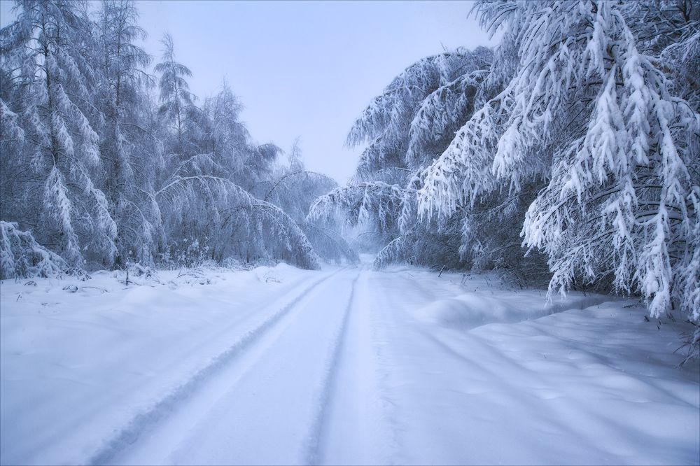 Снежными дорогами