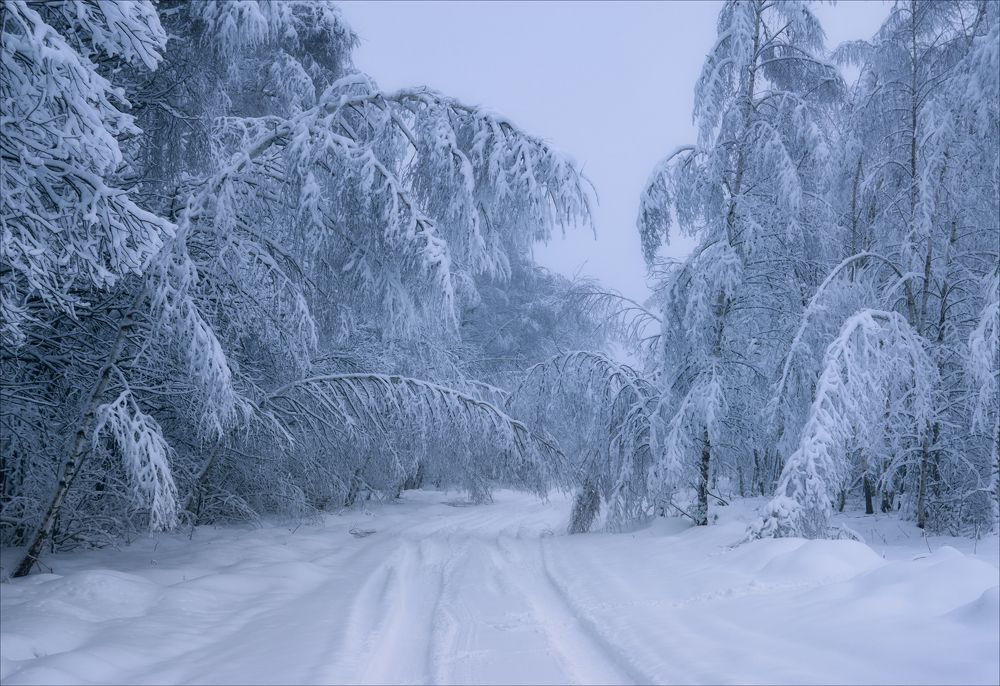 Снежными дорогами