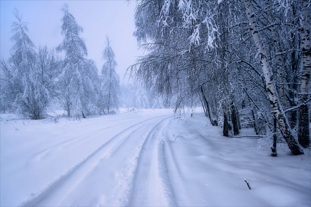 Снежными дорогами