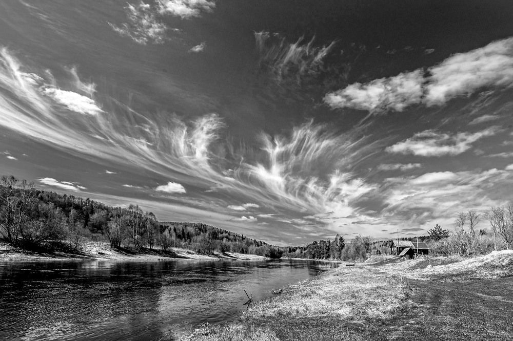Black & White Landscape (almost)