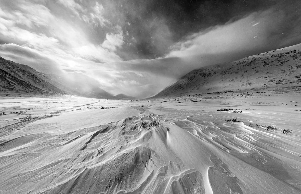 Black & White Landscape (almost)
