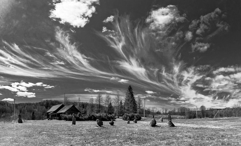 Black & White Landscape (almost)