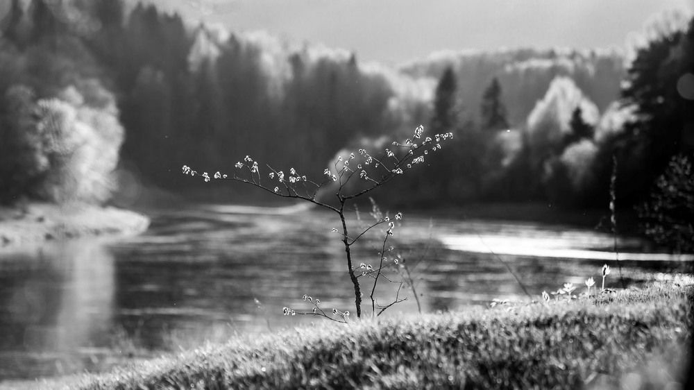 Black & White Landscape (almost)