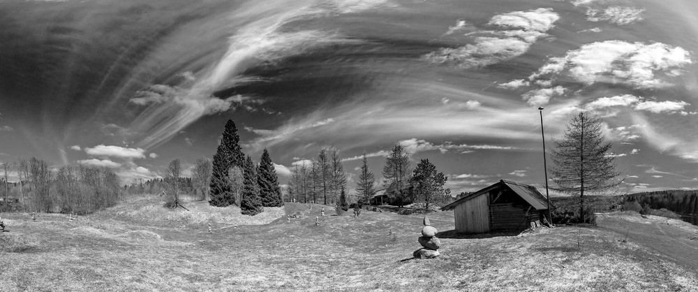 Black & White Landscape (almost)