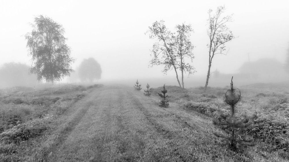 Black & White Landscape (almost)