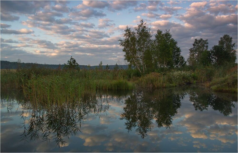 Утренние зарисовки