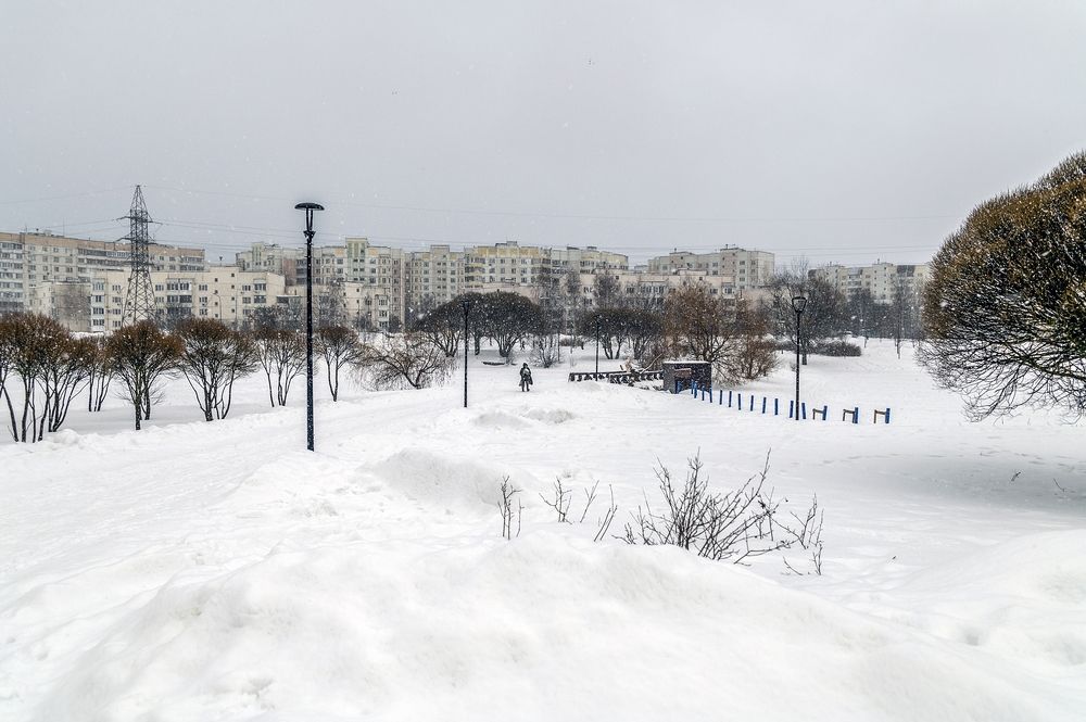 В зимнем парке