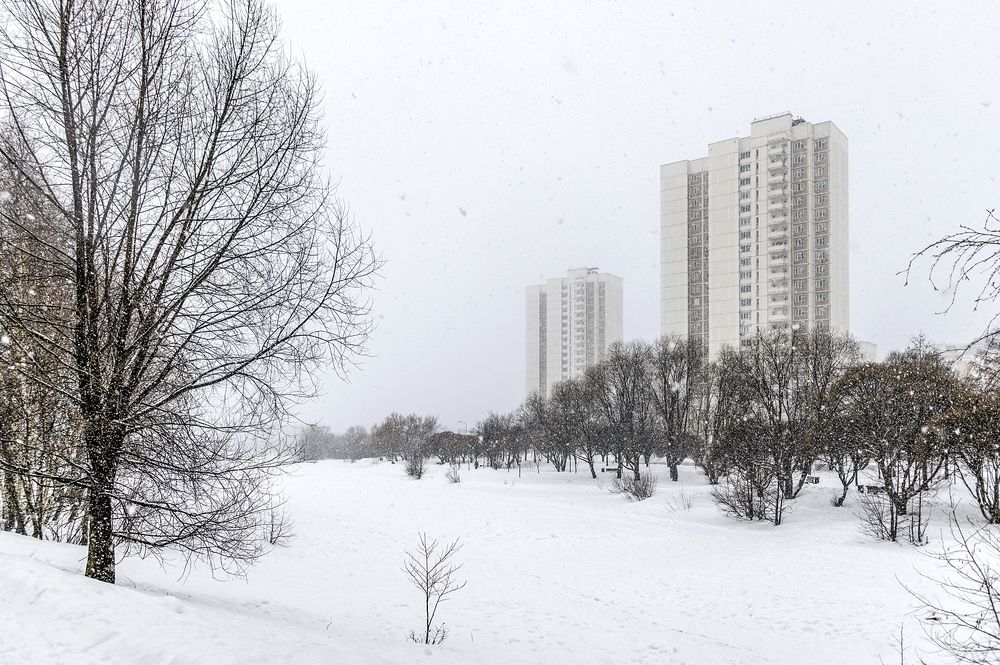 В зимнем парке