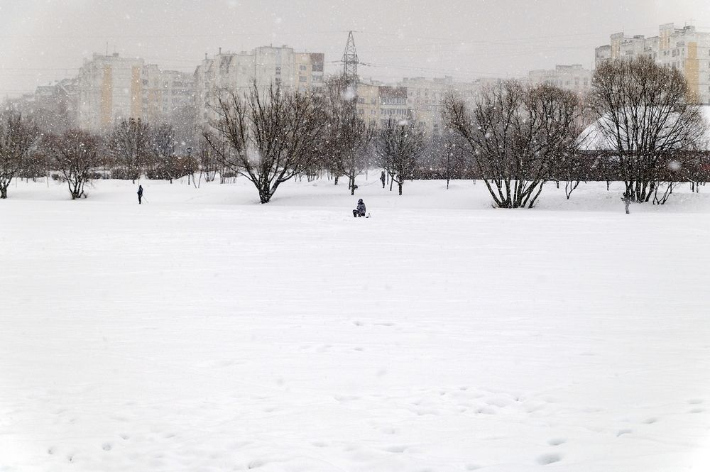 В зимнем парке